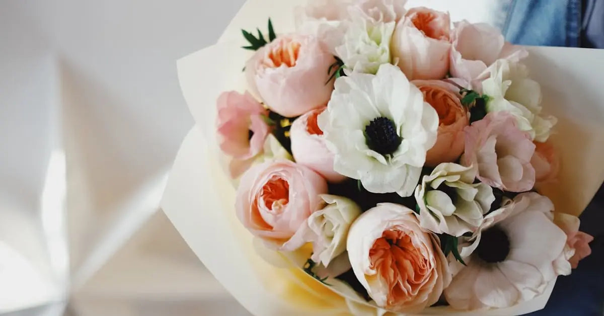 Anemonenpflege – Vase, Bedeutung, Saison & Hochzeitstipps | MoBlumen Wien