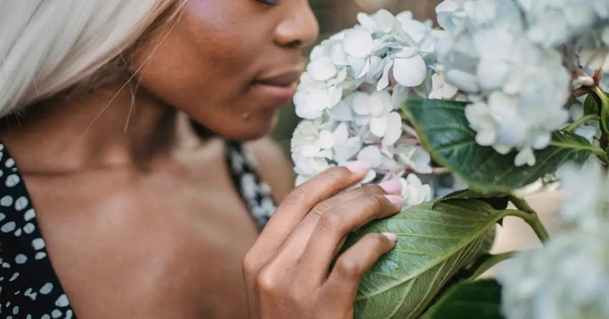 Blumen Allergie – Welche Blumen für Allergiker geeignet sind