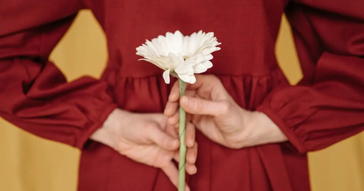 Blumen Bedeutung - Was jede Blume wirklich sagt | MoBlumen Wien