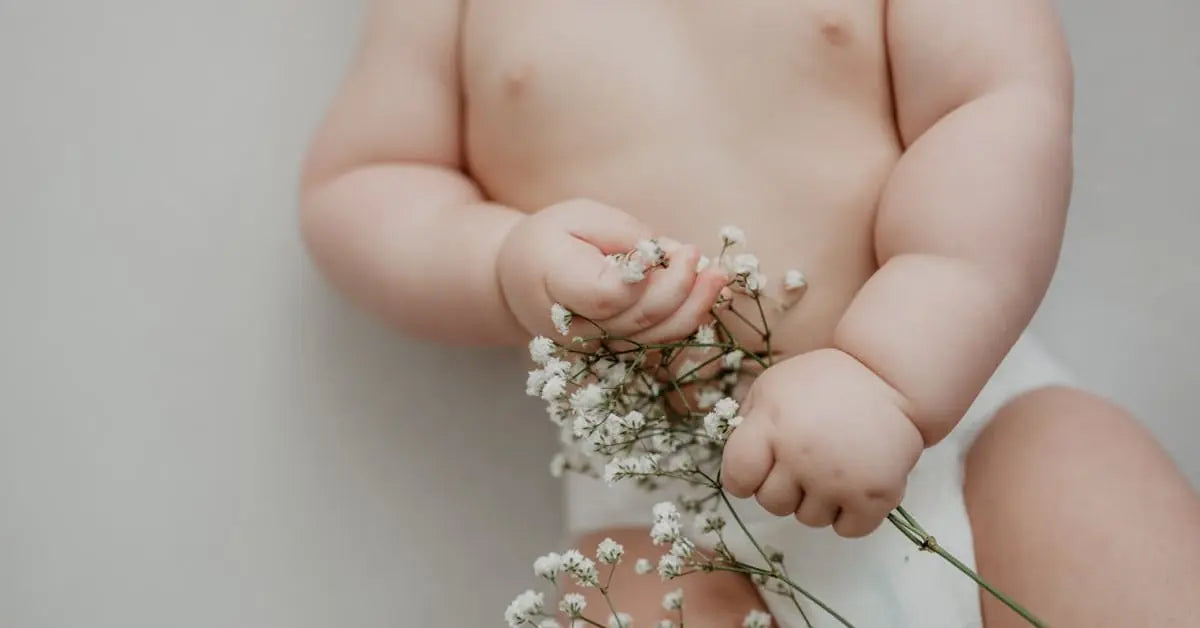 Schleierkraut Pflege – Trocknen, Hochzeit, Bedeutung & Vase-Tipps