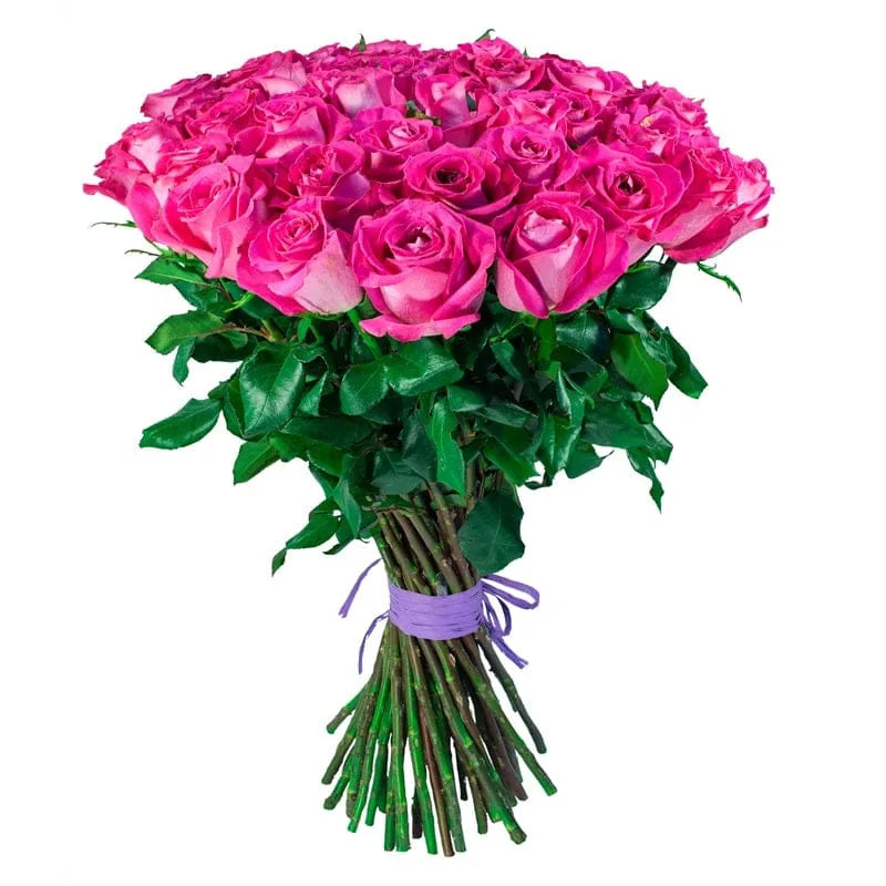 Großer Strauß pinker Rosen von MO BLUMEN mit dunkelgrünen Blättern und lila Band um die Stiele.