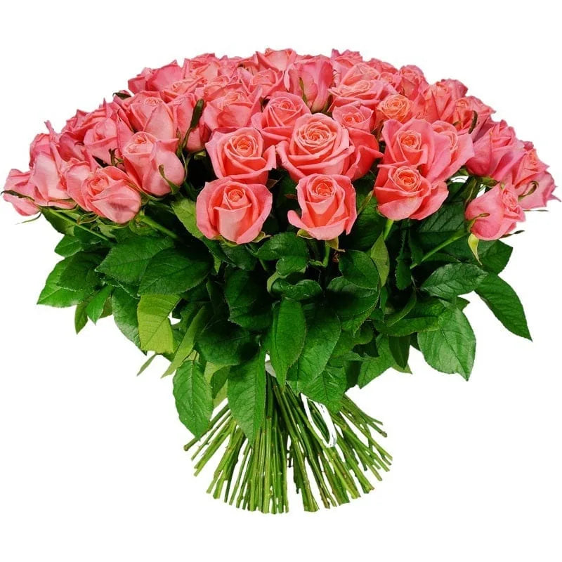 Großer Strauß korallenfarbener Rosen von MO BLUMEN mit grünen Blättern und weißer Bindung auf weißem Hintergrund.