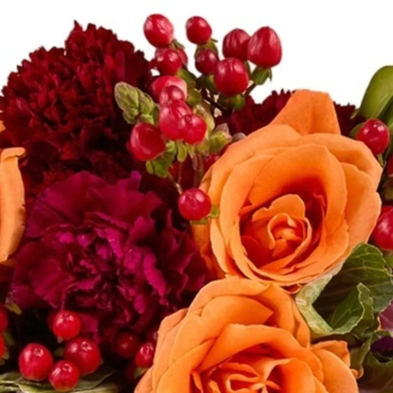 Orange-Bordeaux Harmonie