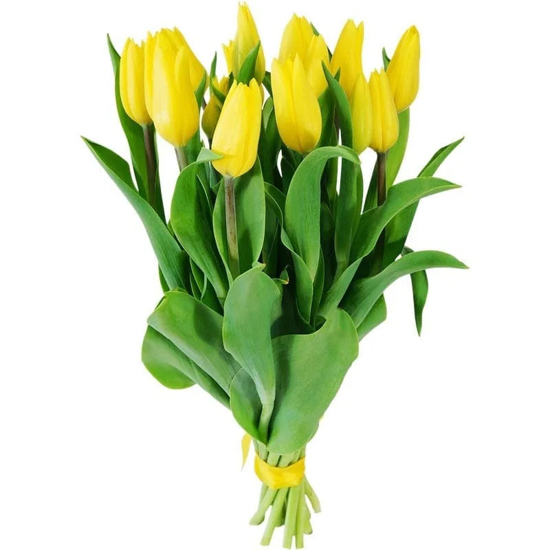 Strauß goldene Tulpen mit grünen Blättern