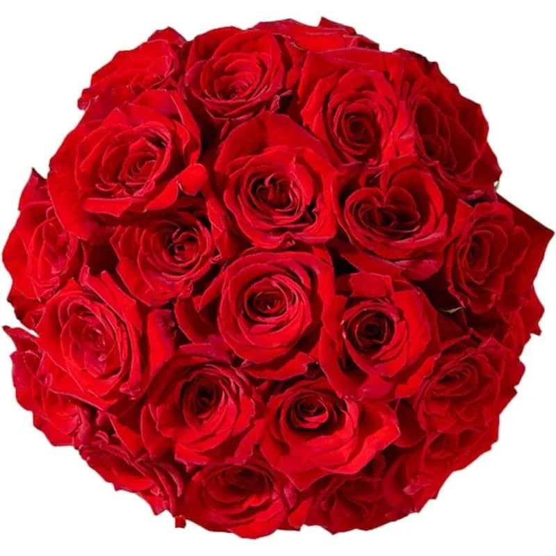 Runde Anordnung roter Rosen