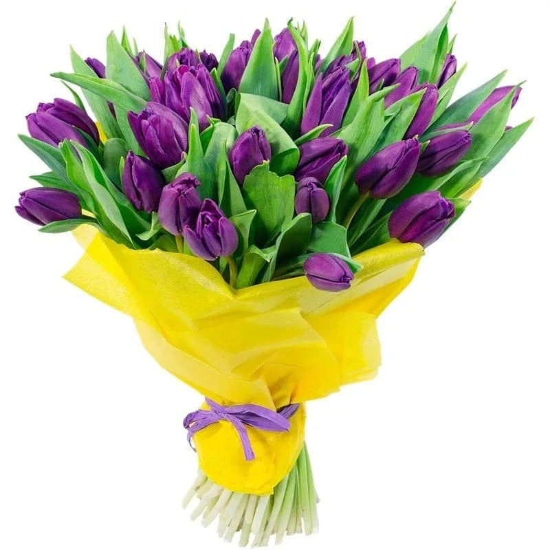 Lila Tulpenstrauß in gelbem Papier