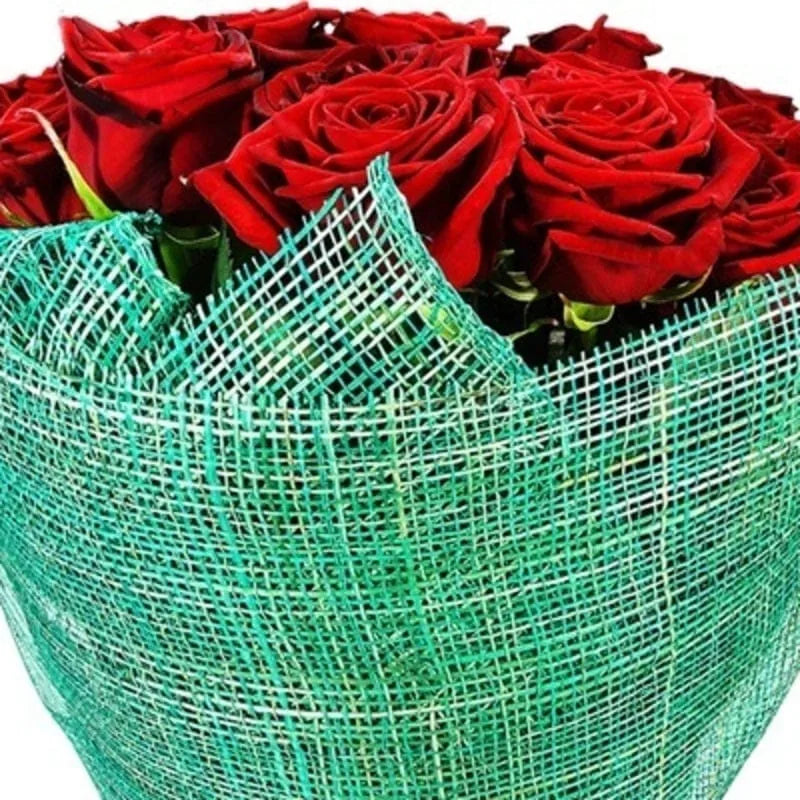 Rote Rosen im Türkis