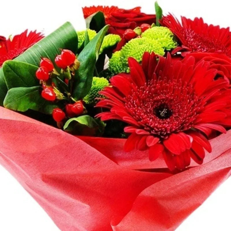 Rote Frühlingspracht