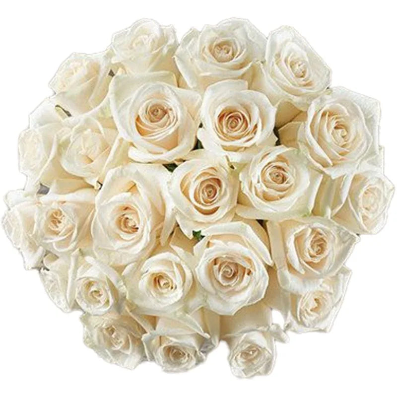 Bouquet aus weißen Rosen