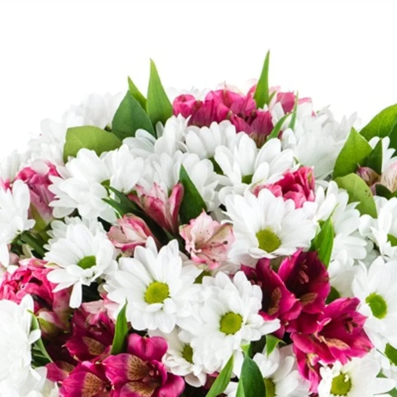 Blumenstrauß in Weiß und Pink von MO BLUMEN mit Chrysanthemen und Alstroemerien in Nahaufnahme.