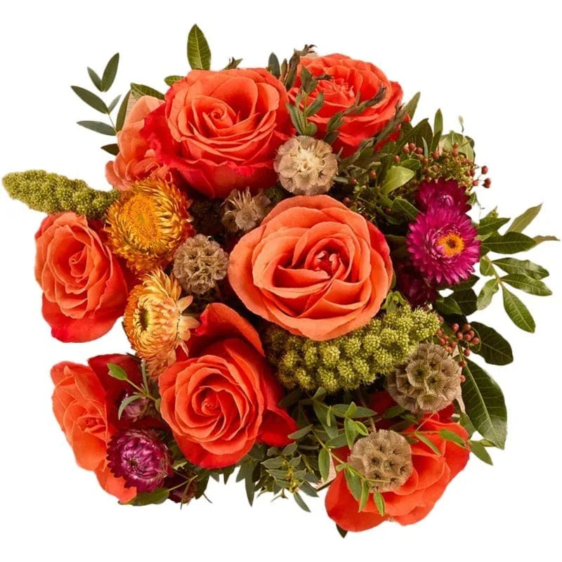 Korallen-Rosen mit Trockenblumen bestellen – MO BLUMEN