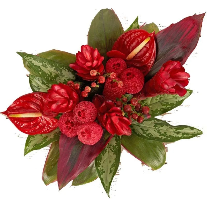 Tropisches Bouquet mit roten Anthurien und exotischen Blumen