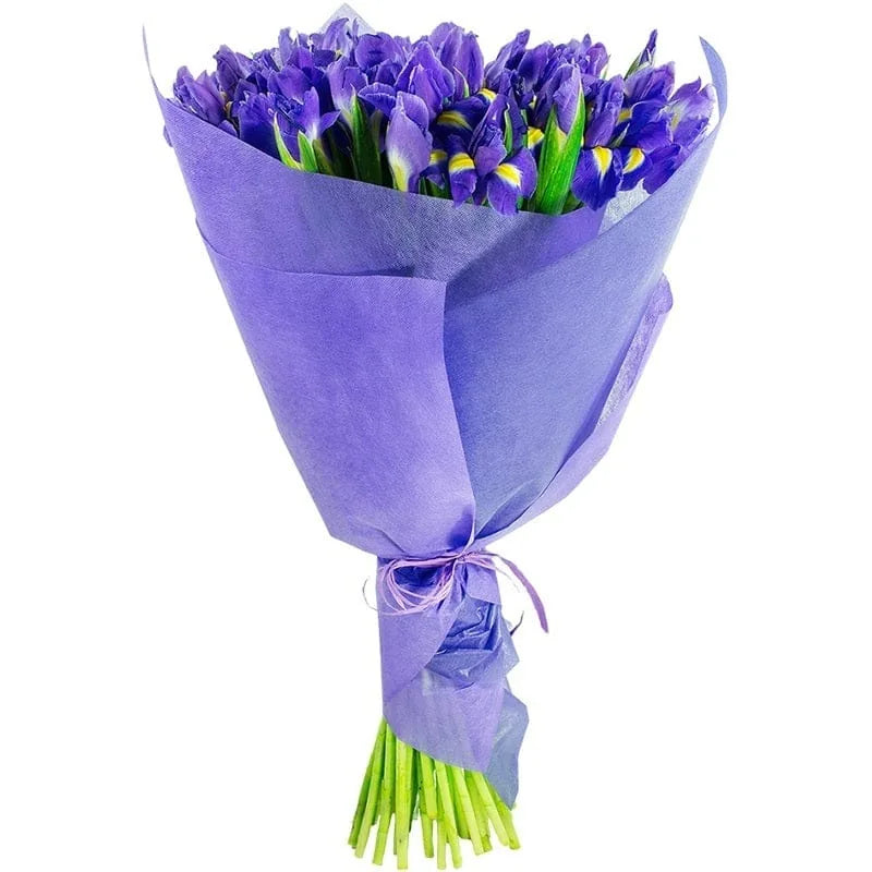 Blumenstrauß aus violetten Irisblüten in lila Papier