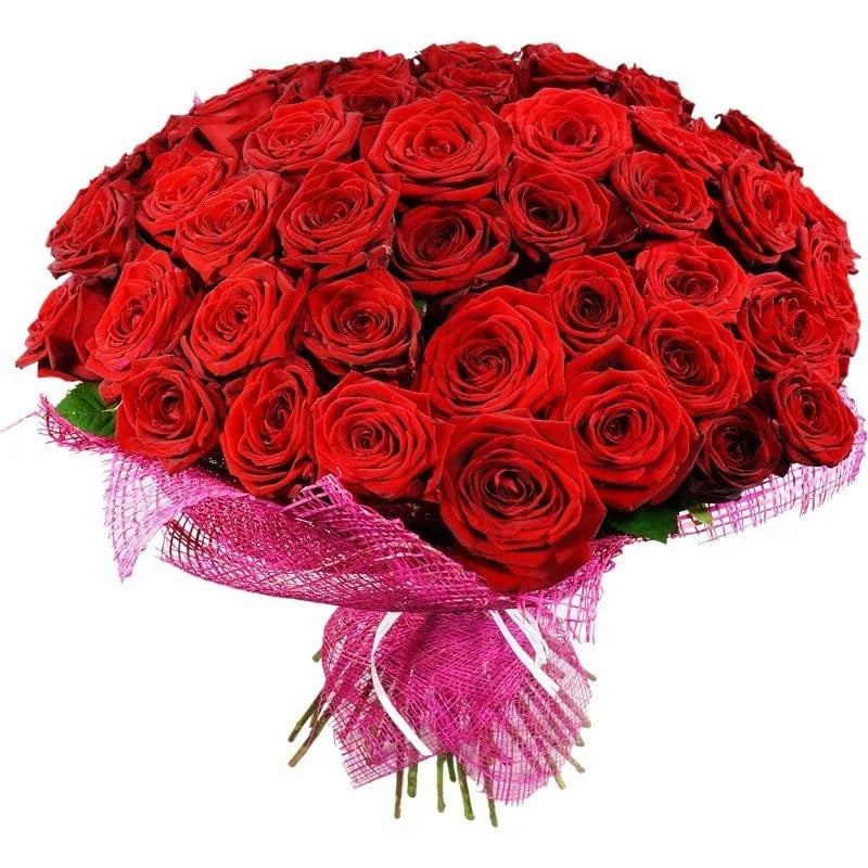 Eleganter roter Rosenstrauß von MO BLUMEN, verpackt in pinkem Netz und weißem Band gebunden.