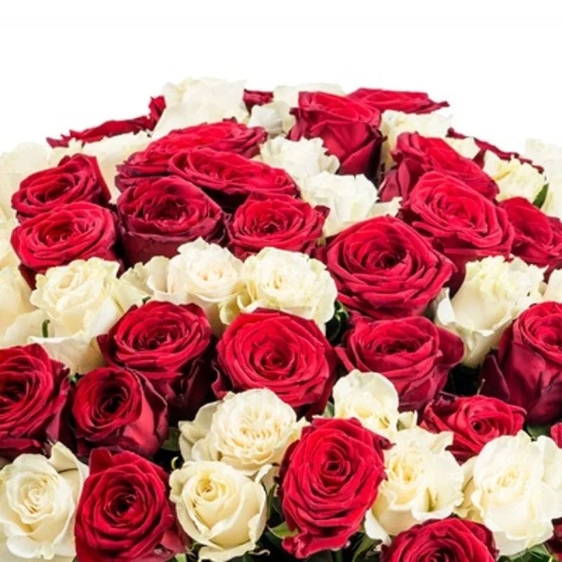 Rot-weißer Blumenstrauß von MO BLUMEN mit dicht gepackten roten und cremefarbenen Rosen, von oben gesehen.
