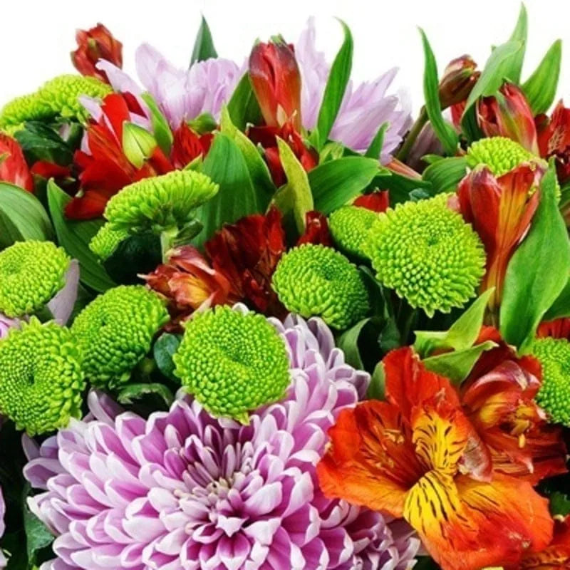 Herbstliche Farbenpracht N1