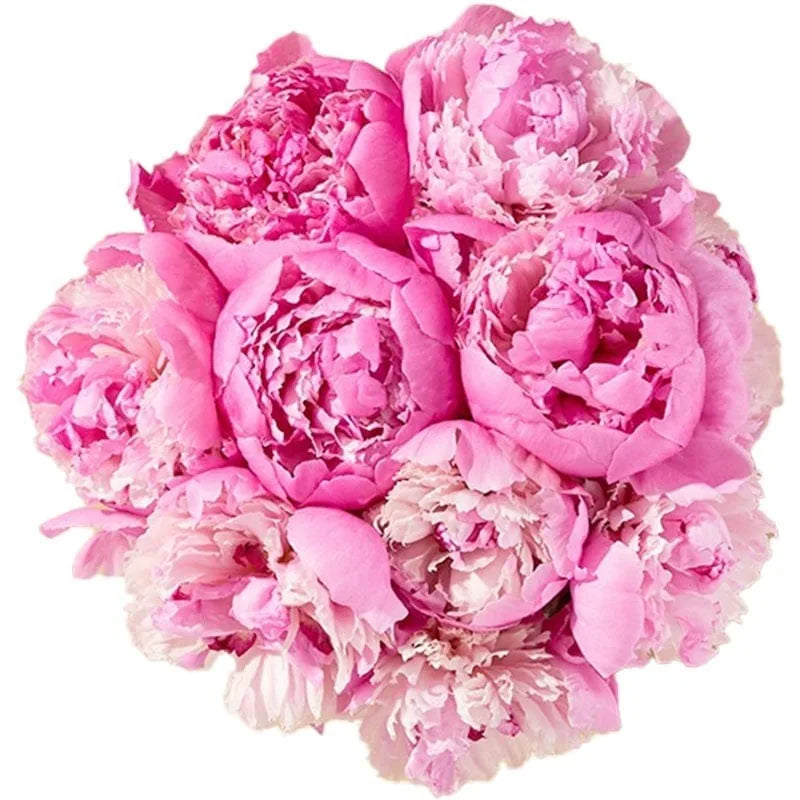 Rosafarbenes Pfingstrosen-Bouquet