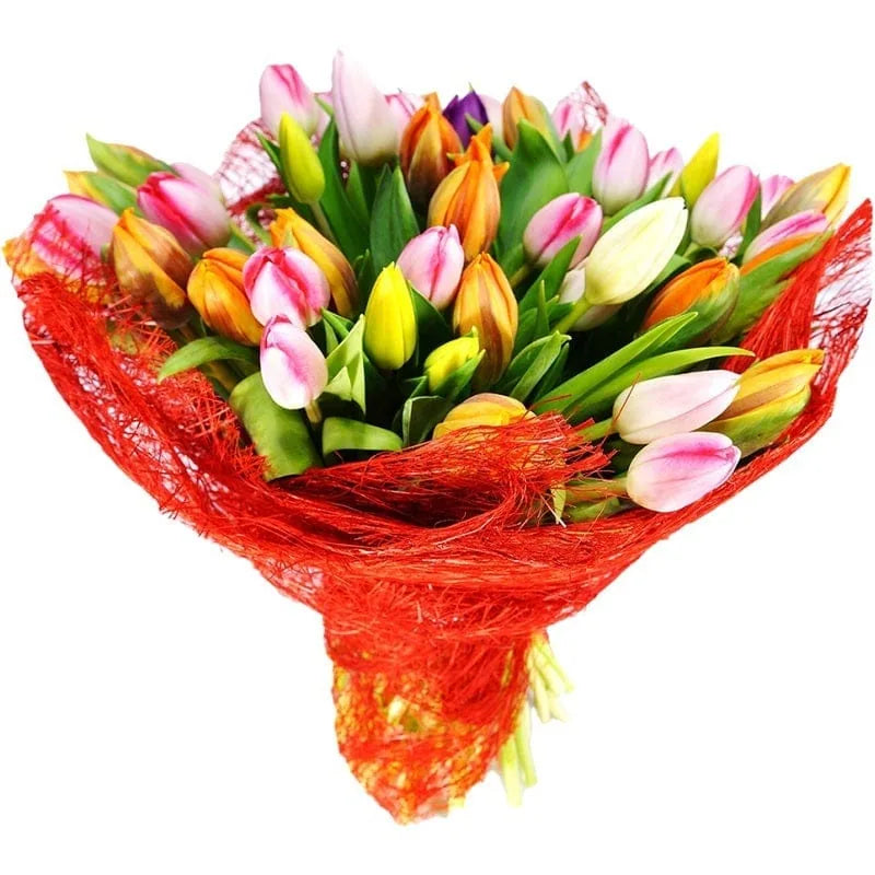 Bunter Tulpenstrauß mit roter Manschette
