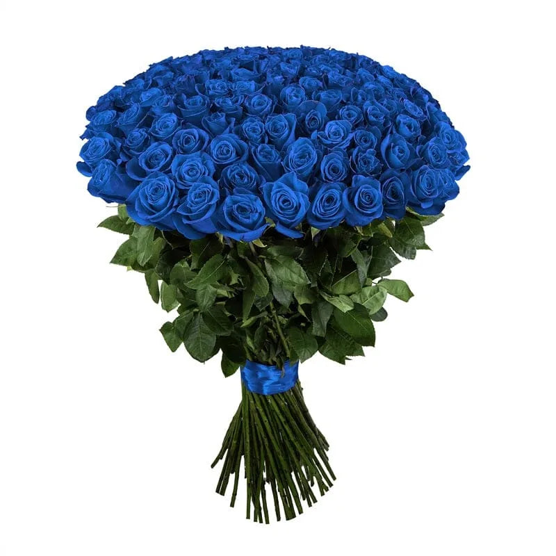 Großes Bouquet blauer Rosen von MO BLUMEN, mit grünen Blättern und blauem Band zusammengebunden.