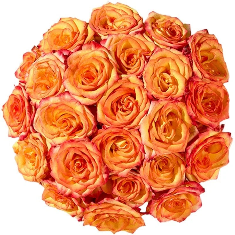 Bouquet aus orangefarbenen Rosen in Kugelform