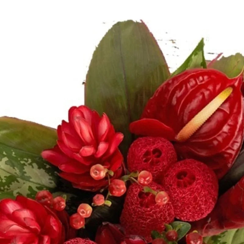 Tropische Leidenschaft