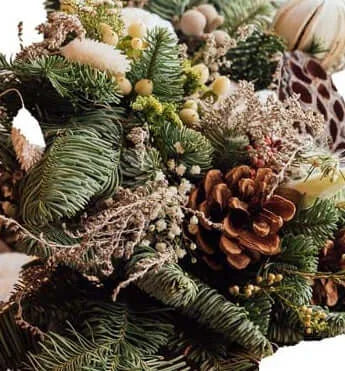 Frosted Winter Elegance
