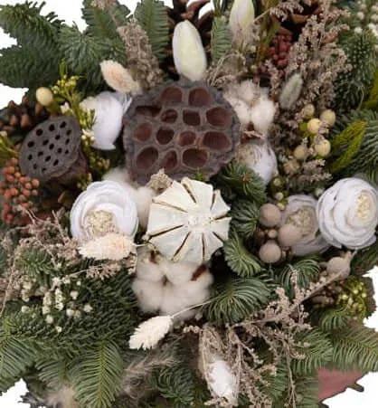 Botanical Winter Garden