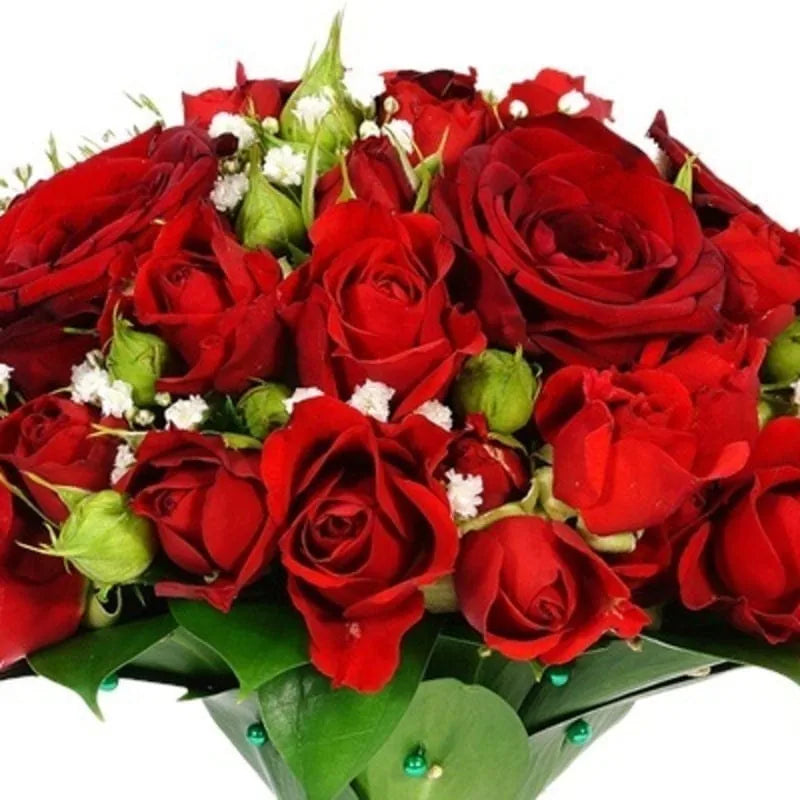 Klassische Rote Rosen