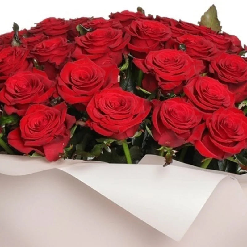 Roter Rosenstrauß von MO BLUMEN, dicht arrangiert und in hellem Papier eingewickelt.