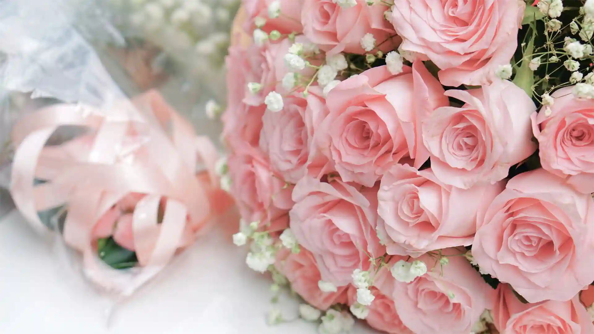 Bouquet of pink roses with a clear plastic wrap on a white surface