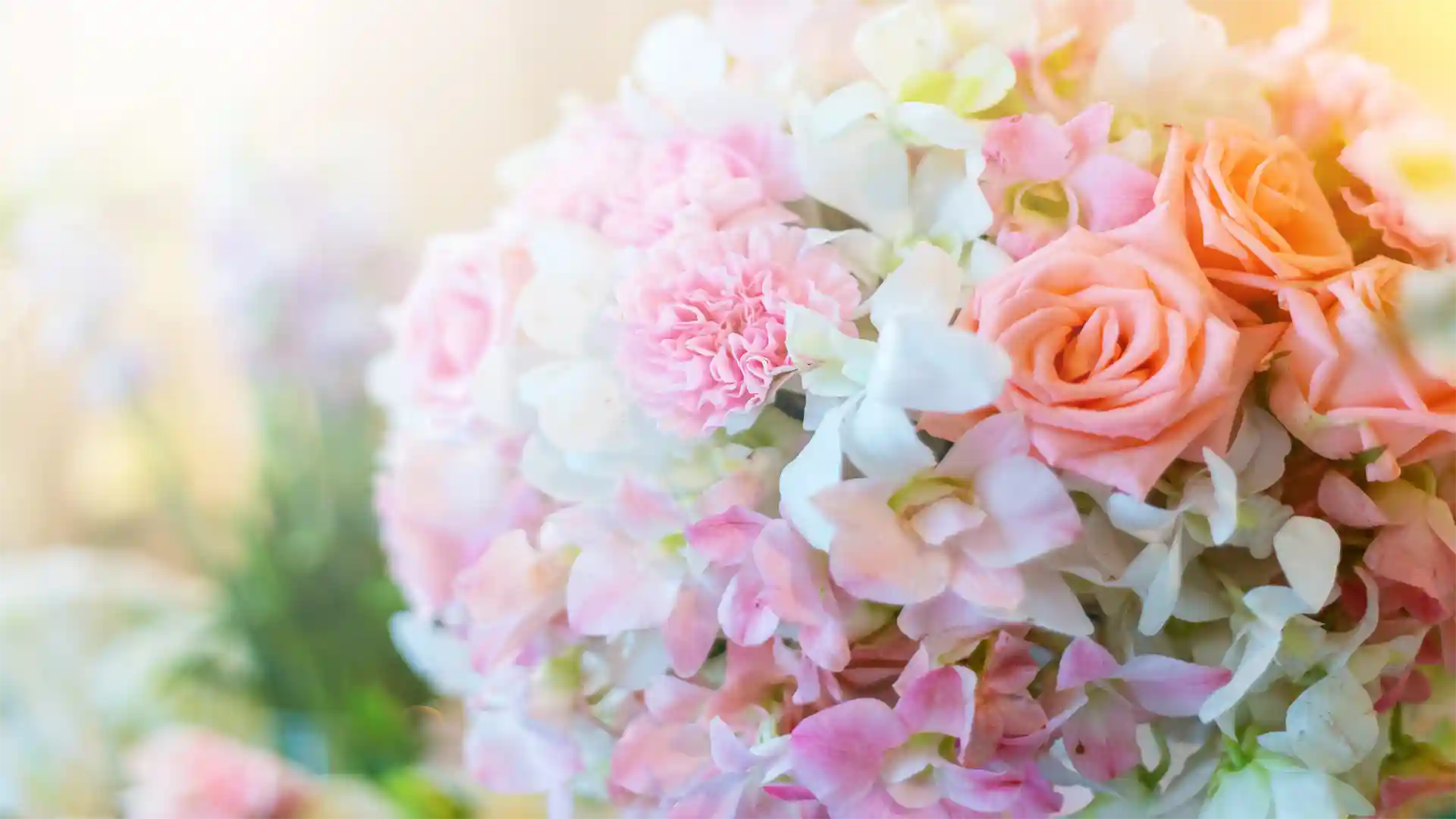 Close-up of a bouquet of pink and white flowers with a blurred natural background