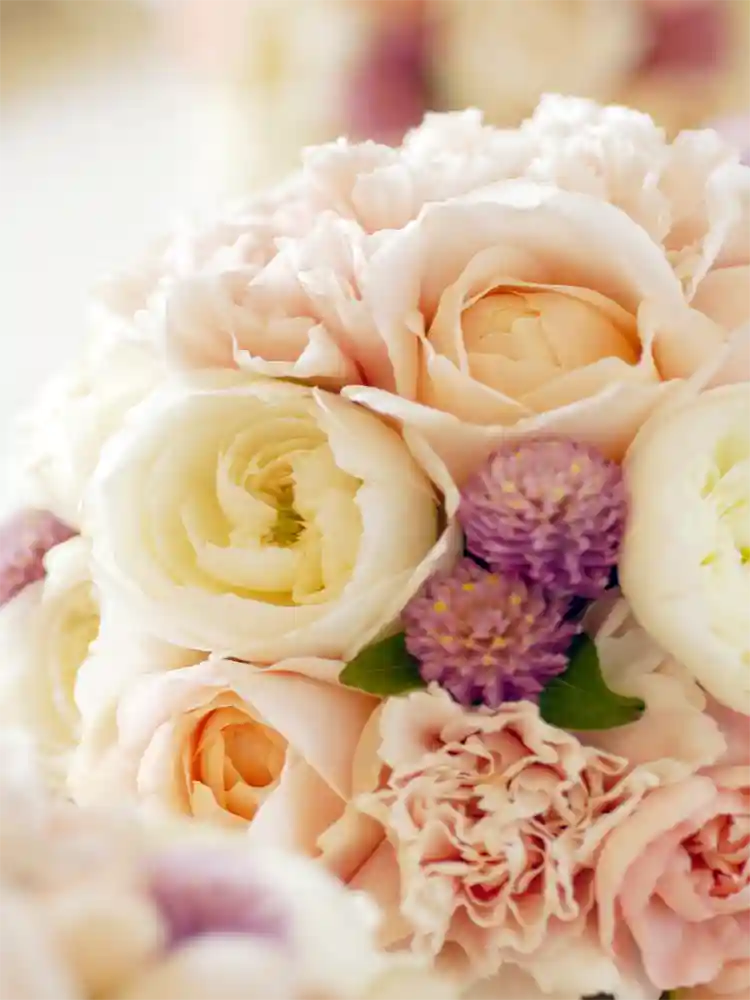 Close-up of a bouquet of light pink and purple flowers