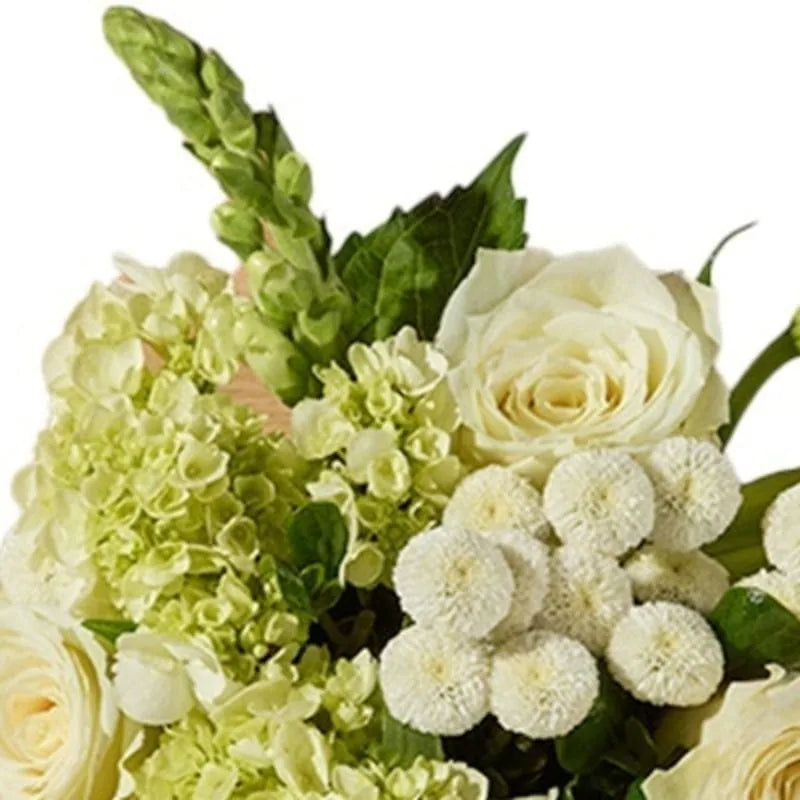 Weiß-Grüne Frische