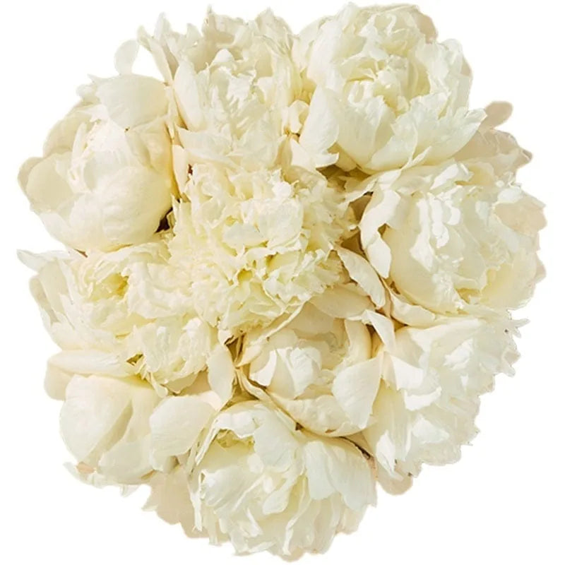 Strauß mit weißen Pfingstrosen