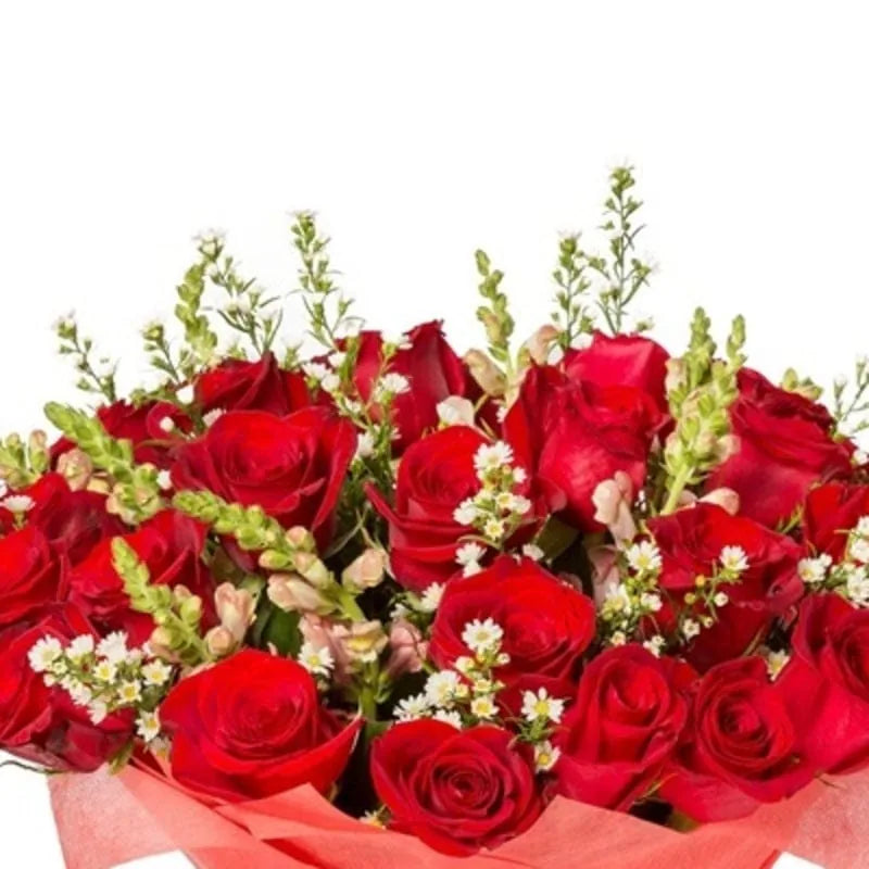 Rote Rosen mit Schleierkraut