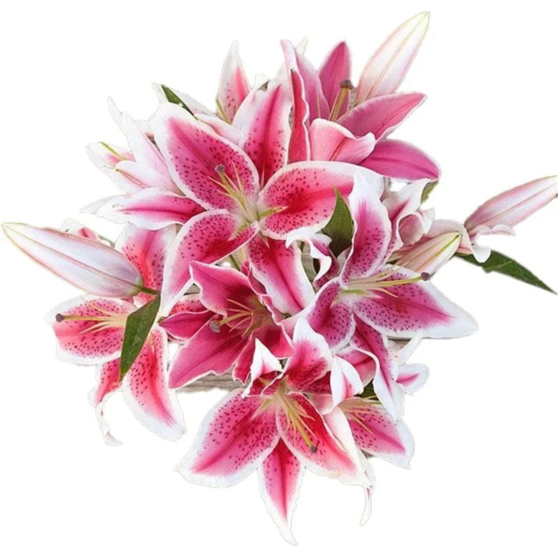 Rosa Lilien-Blumenstrauß mit grünen Blättern