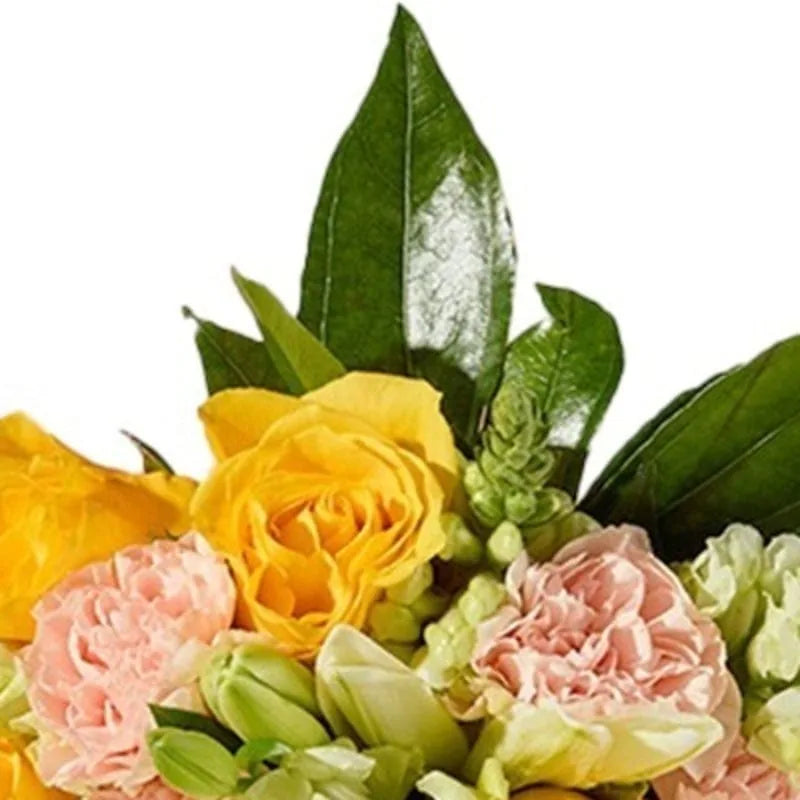 Gelb-Pfirsich Blüten