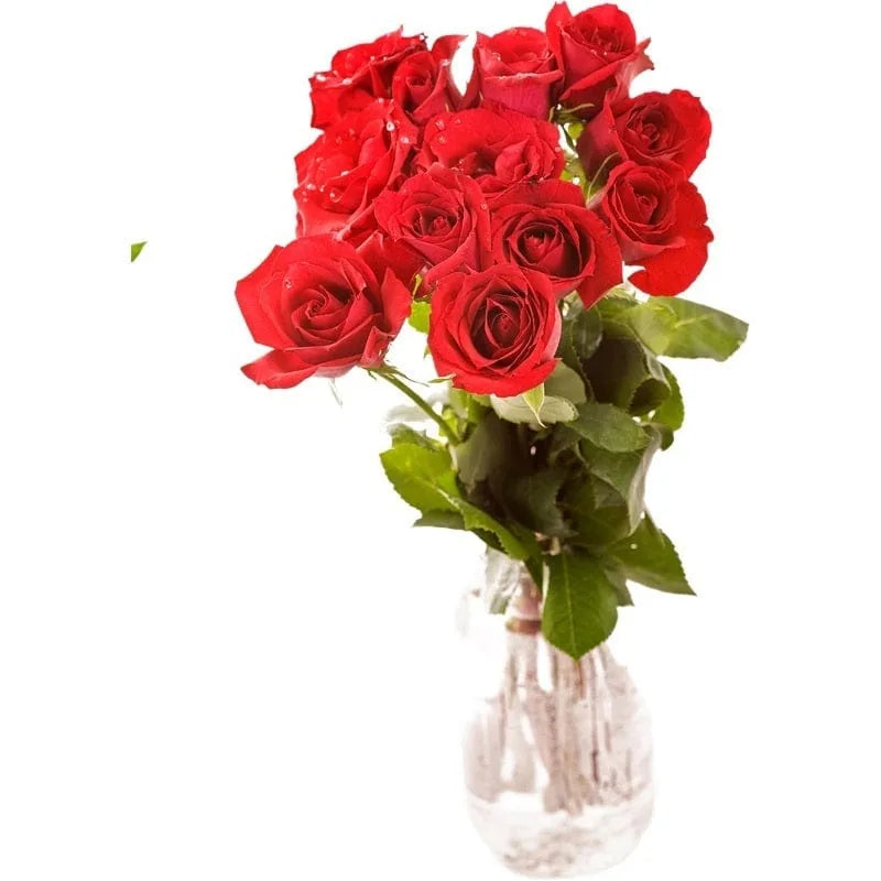 Ein Dutzend rote Rosen in einer Vase.
