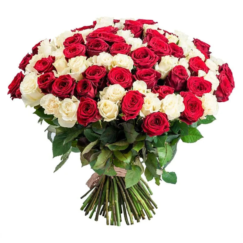 Rot-weißer Rosenstrauß von MO BLUMEN, groß und klassisch gebunden mit vielen Blüten und grünen Blättern, unten mit Bindfaden umwickelt.