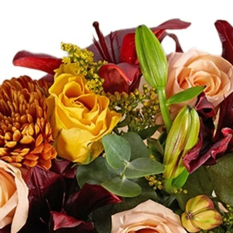 Herbstliche Farbenpracht