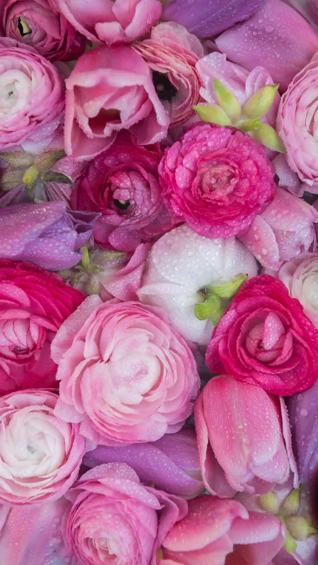 Schleierkraut Strauß weiß - Florist Wien MO BLUMEN