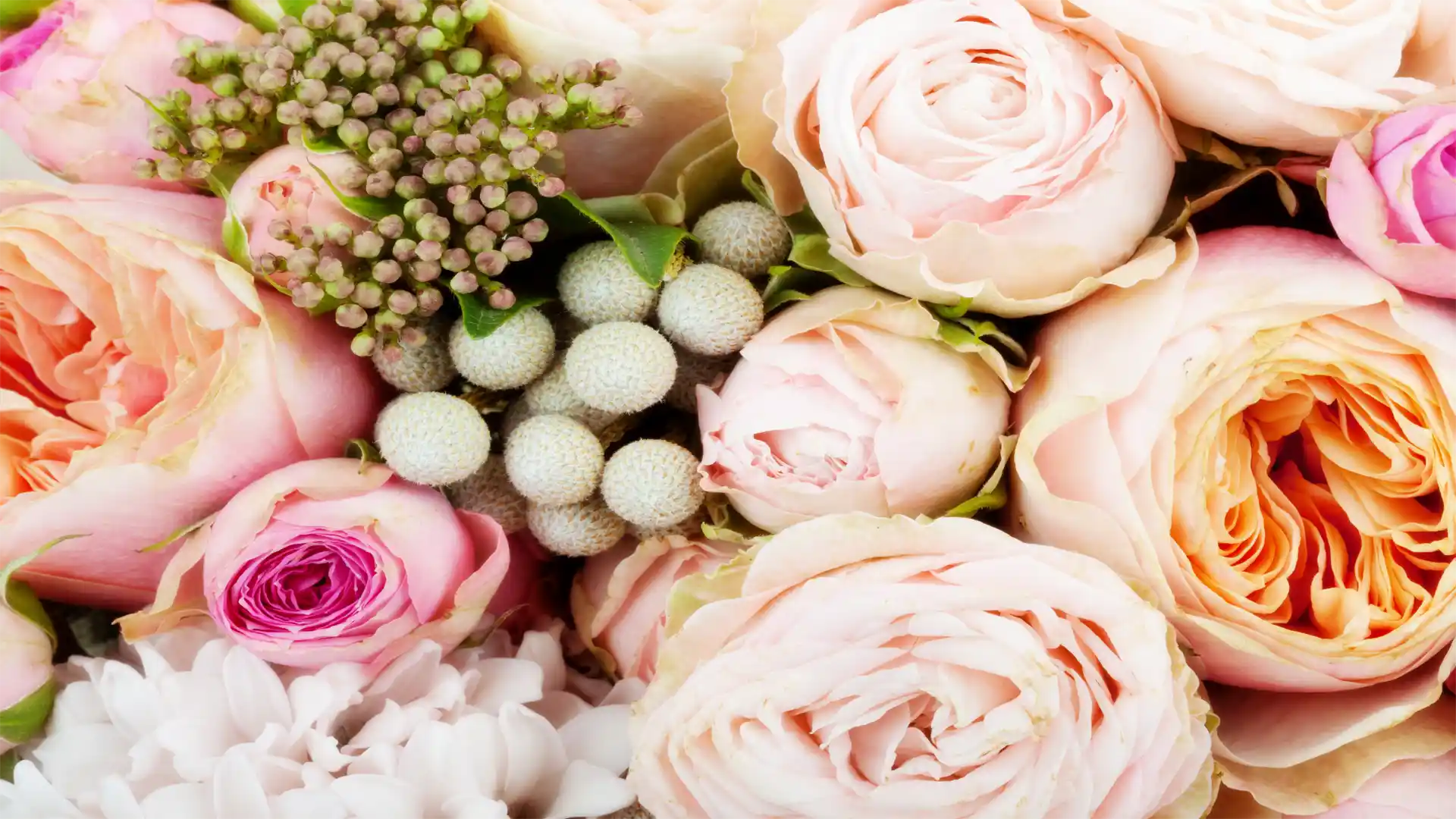 Close-up of a bouquet of pink and peach roses with greenery.