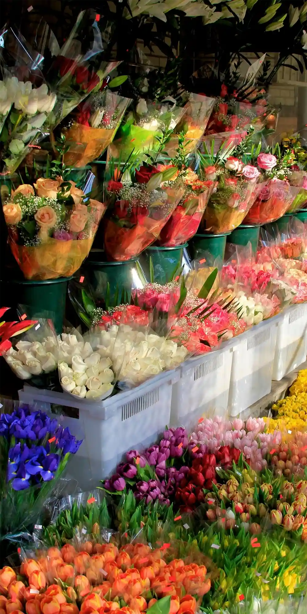 Bouquets of flowers displayed in a market setting