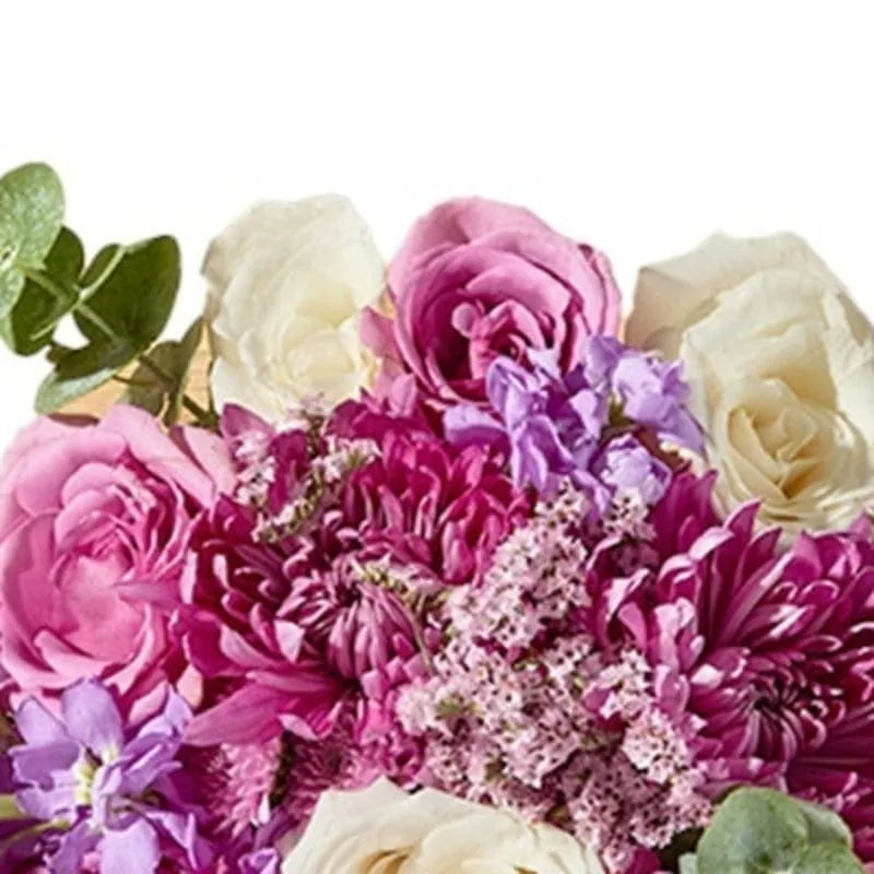 Lila Chrysanthemen-Mix