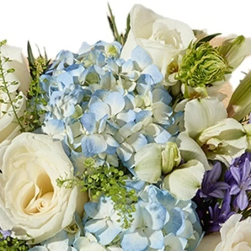 Himmelblaue Hortensien