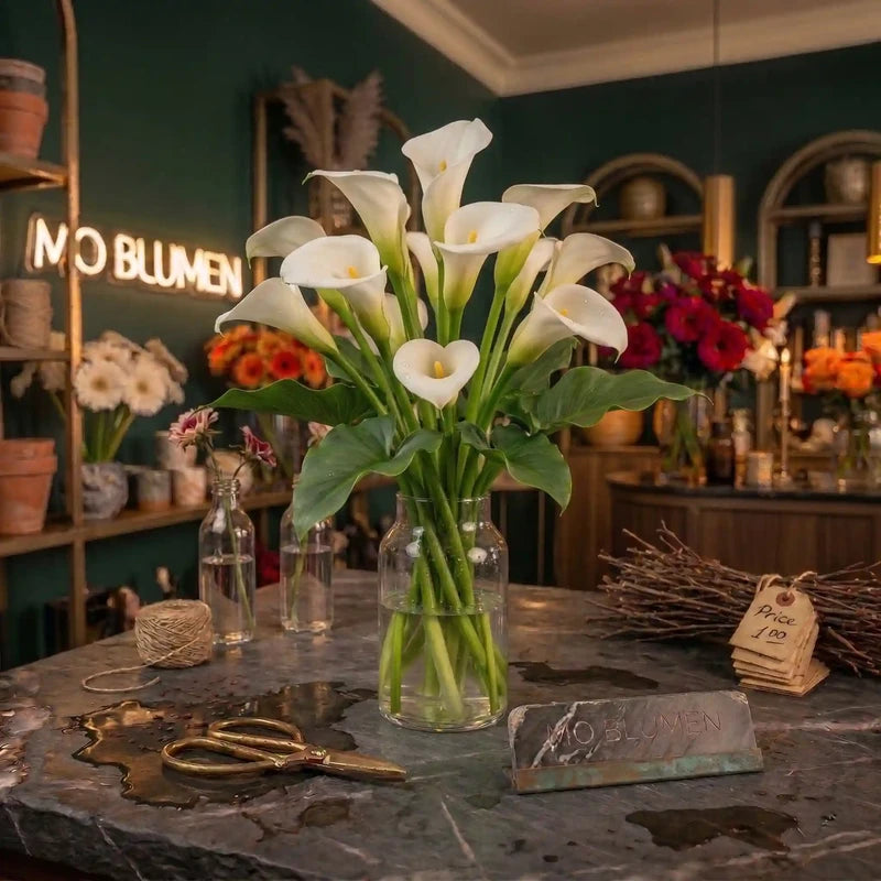 Calla Lilie Einzelblume kaufen – MO BLUMEN Wien