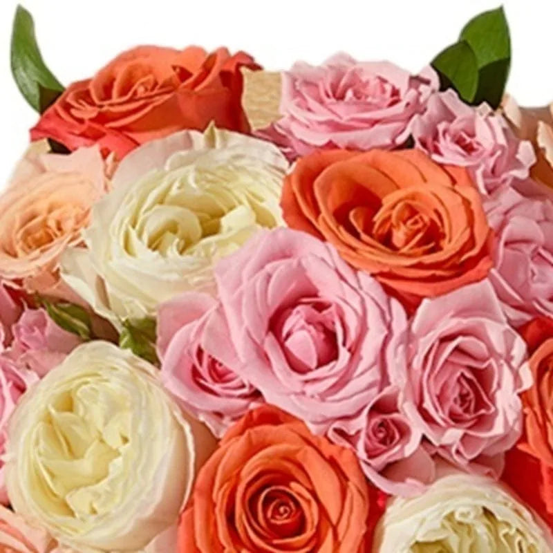 Korallen-Rosenmischung