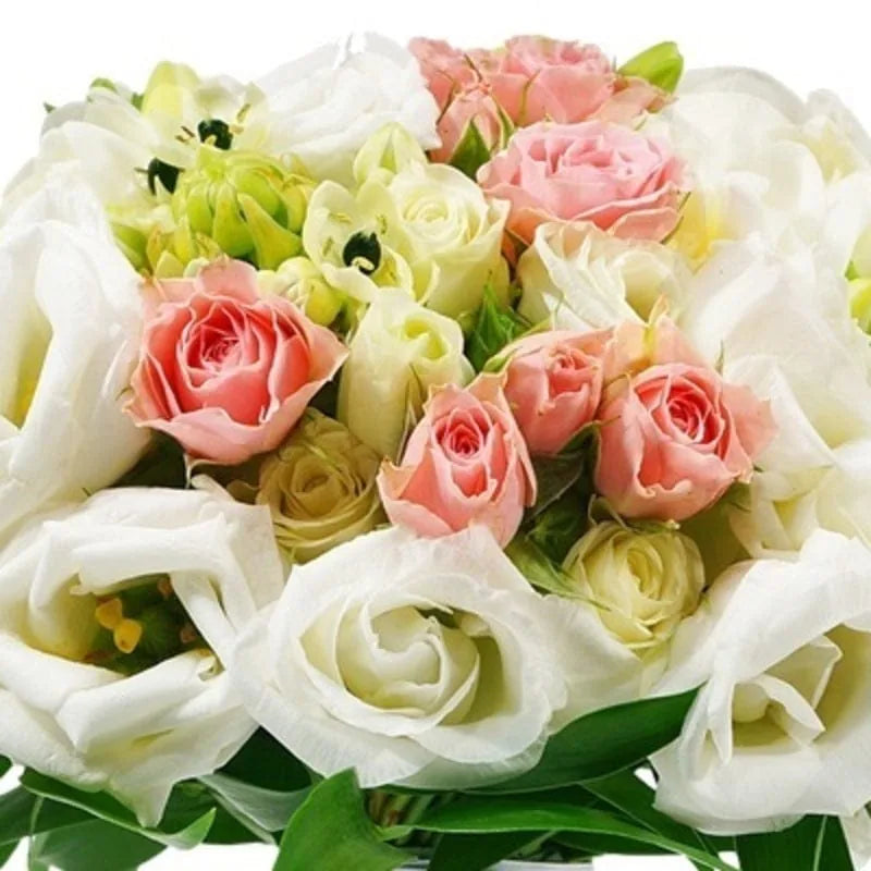 Rosa-Weiße Zärtlichkeit