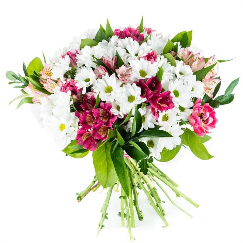 Strauß aus weißen Margeriten und pink-violetten Inkalilien von MO BLUMEN mit frischem Grün.