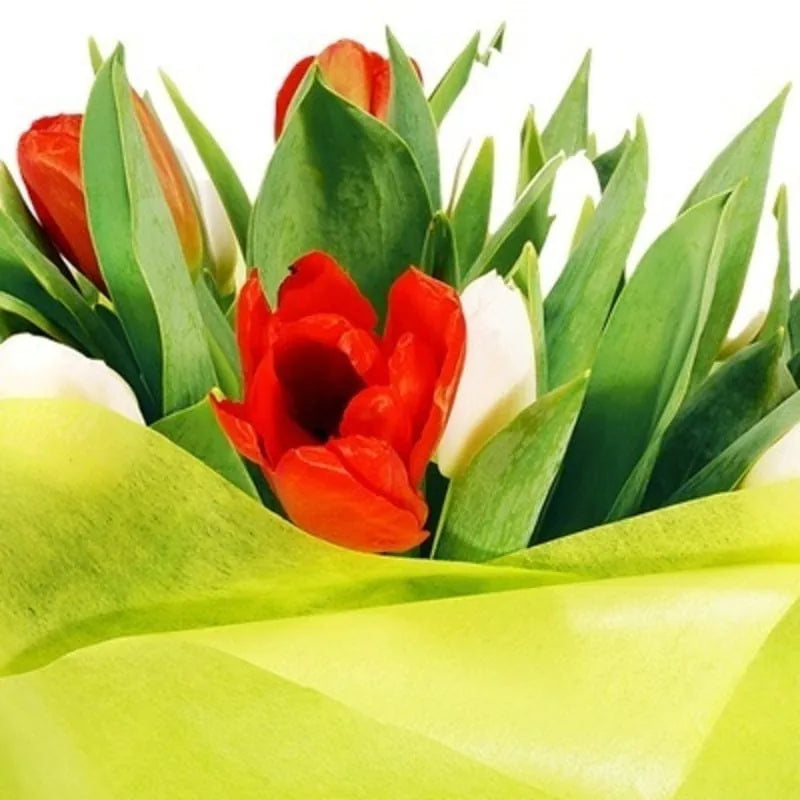 Frühlingsfarben-Tulpen